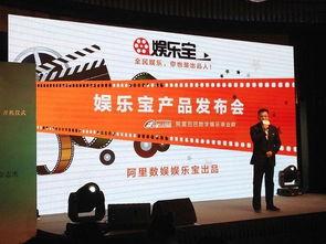 娱乐宝 业务组合,多元化娱乐投资新篇章
